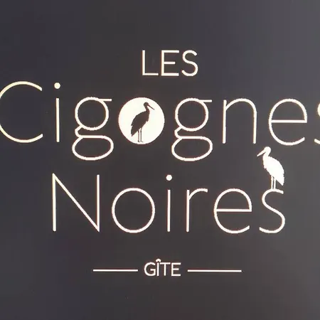 Les Cigognes N0ires *