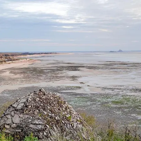 Les Cigognes N0ires * Dragey