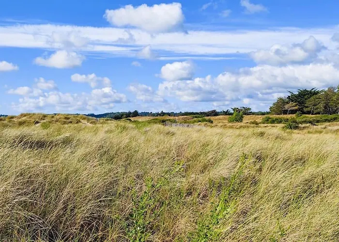 Prázdninový dům Les Cigognes N0ires *