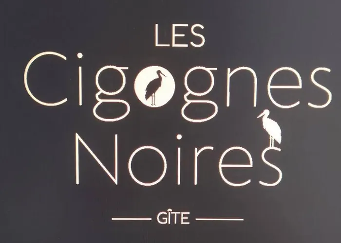 Les Cigognes N0ires *