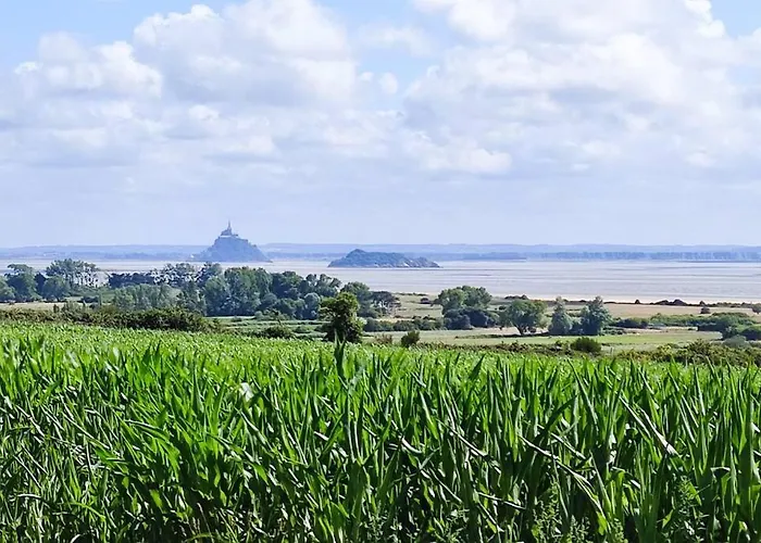 Les Cigognes N0ires *