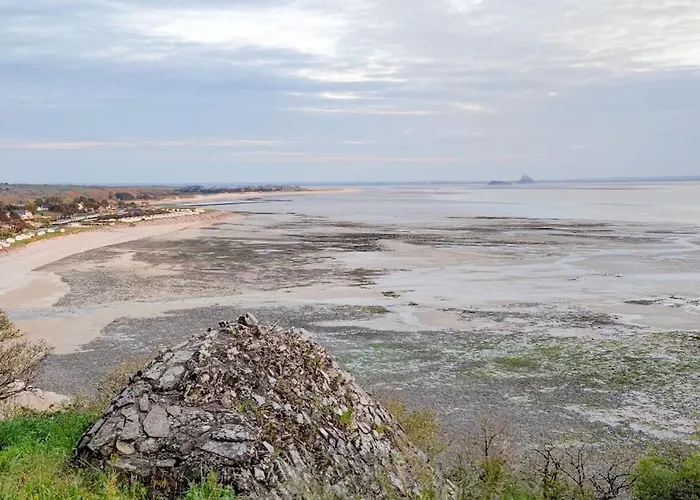 Les Cigognes N0ires * Dragey