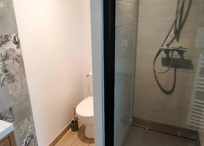 Prázdninový dům Les Cigognes N0ires