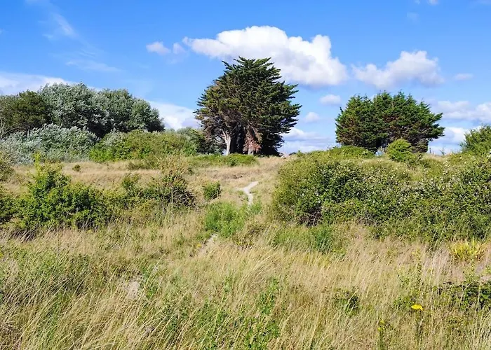 Les Cigognes N0ires 度假居 Dragey